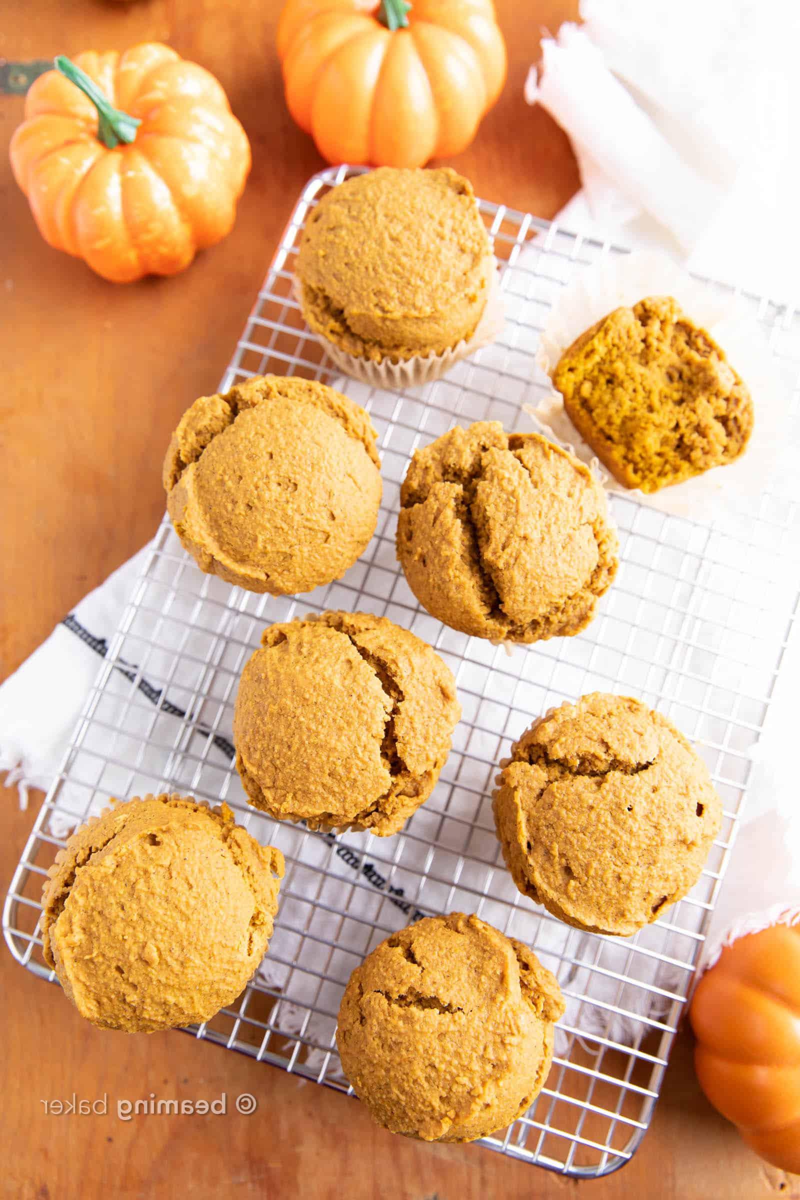 Glutenfreie Kürbis Muffins 3 Glutenfreie Kürbis-Muffins (GF): Befriedigende, gemütliche GF Kürbis-Muffins! Das beste Rezept für glutenfreie Kürbis-Muffins – leicht süß & feucht mit köstlichem gewürzten Kürbisgeschmack! #Glutenfrei #GF #Kürbis #Muffins | Rezept auf BeamingBaker.com