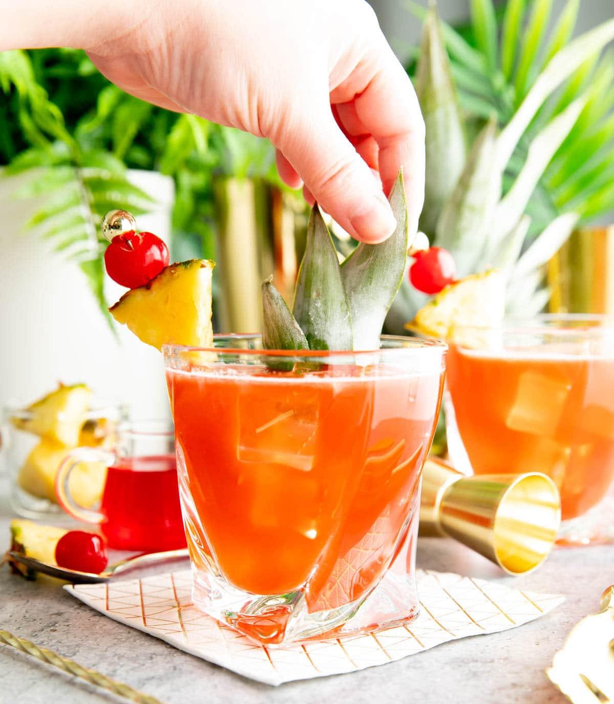 Dschungelvogel Cocktail 6 Ein Foto, das zeigt, wie man diesen Drink zubereitet – das Hinzufügen von Ananasblättern als letzte Garnitur
