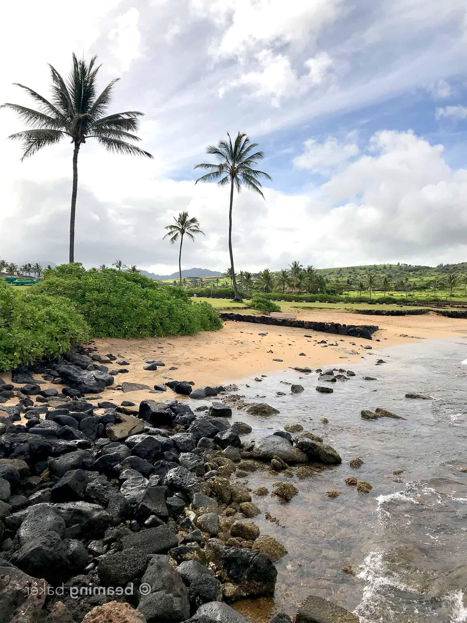 Sieben der unterhaltsamsten und unvergesslichsten Aktivitäten für Ihren Aufenthalt an der Süd-Shore von Kauai, Hawaii. #Reisen #Reisetipps #Hawaii #BucketLists | Beitrag auf BeamingBaker.com