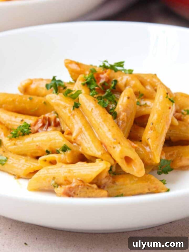 27 Stress-Free Sunday Meals 11 Creamy One Pot Sun-Dried Tomato Pasta