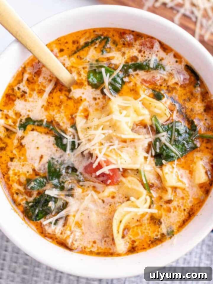 27 Stress-Free Sunday Meals 24 Instant Pot Tortellini Soup with tortellini, Italian sausage, and wilted baby spinach in a bowl garnished with shredded parmesan.