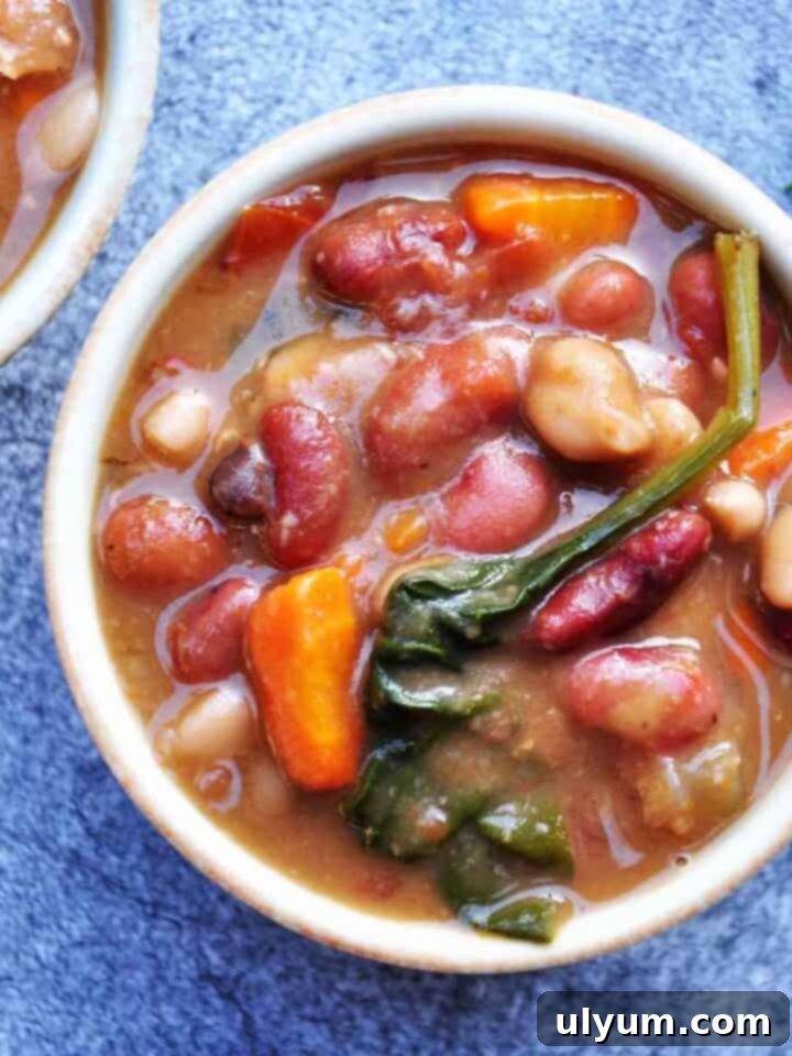 27 Stress-Free Sunday Meals 25 Hearty 15 Bean Instant Pot Soup, vegan and gluten-free
