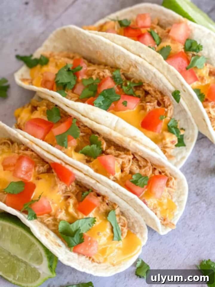 27 Stress-Free Sunday Meals 28 4-Ingredient Slow Cooker Chicken Tacos