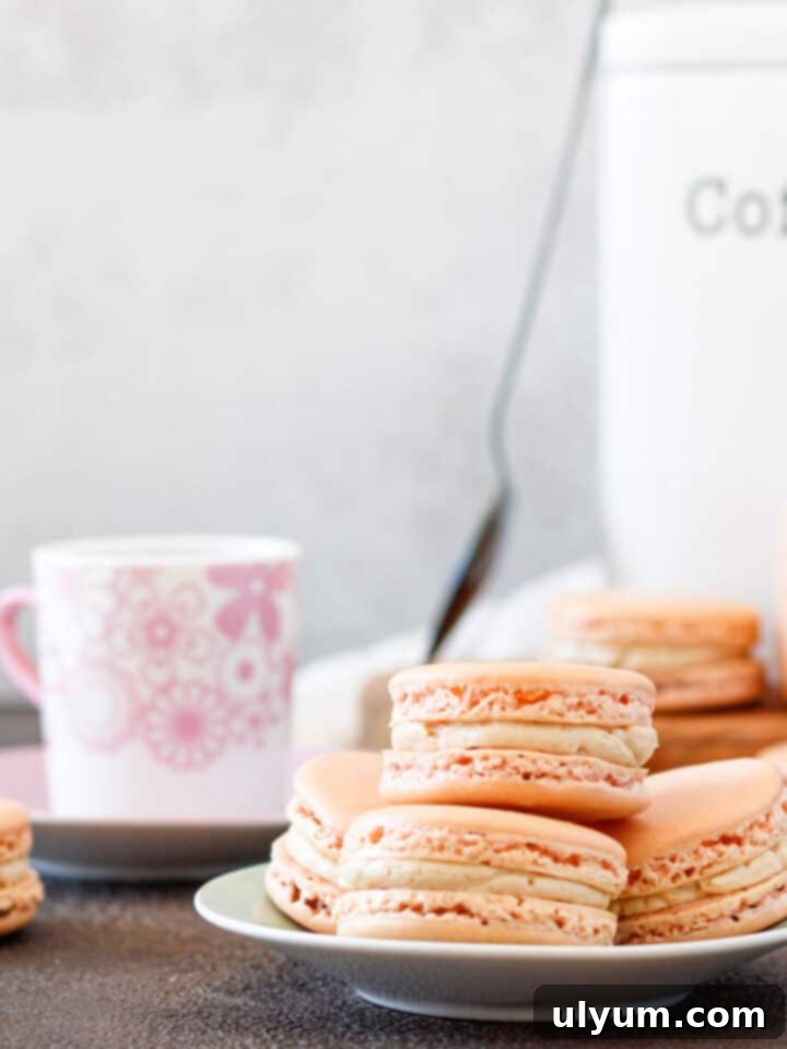 Rich Cuban coffee macarons filled with silky espresso buttercream, offering a delightful caffeine kick.