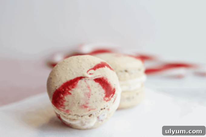 Bright red and white peppermint French macarons adorned with crushed candy canes, showcasing a festive Christmas treat.