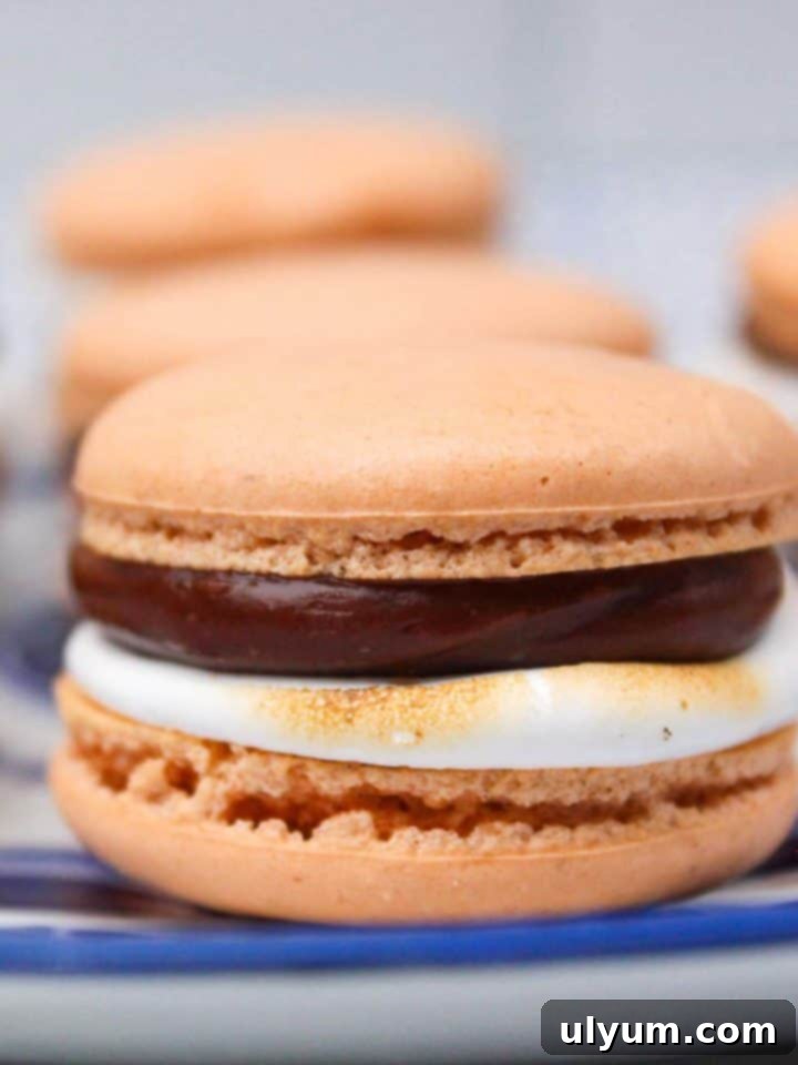 Decadent S'mores macaron featuring a graham cracker shell, toasted marshmallow fluff, and rich chocolate ganache drizzle.
