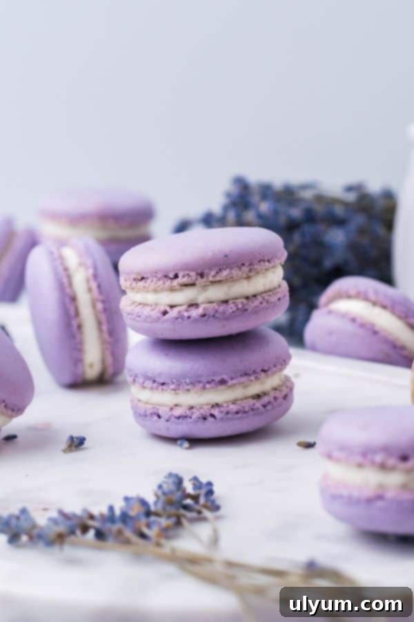Three delicate purple lavender macarons stacked, garnished with a sprig of fresh lavender, showcasing their unique flavor.