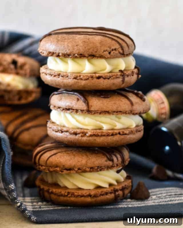 Rich chocolate macarons with Baileys Irish cream liqueur frosting, elegantly drizzled with melted chocolate.