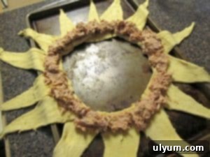 Creamy tuna mixture generously spooned onto the wider ends of the crescent roll dough, forming a ring.