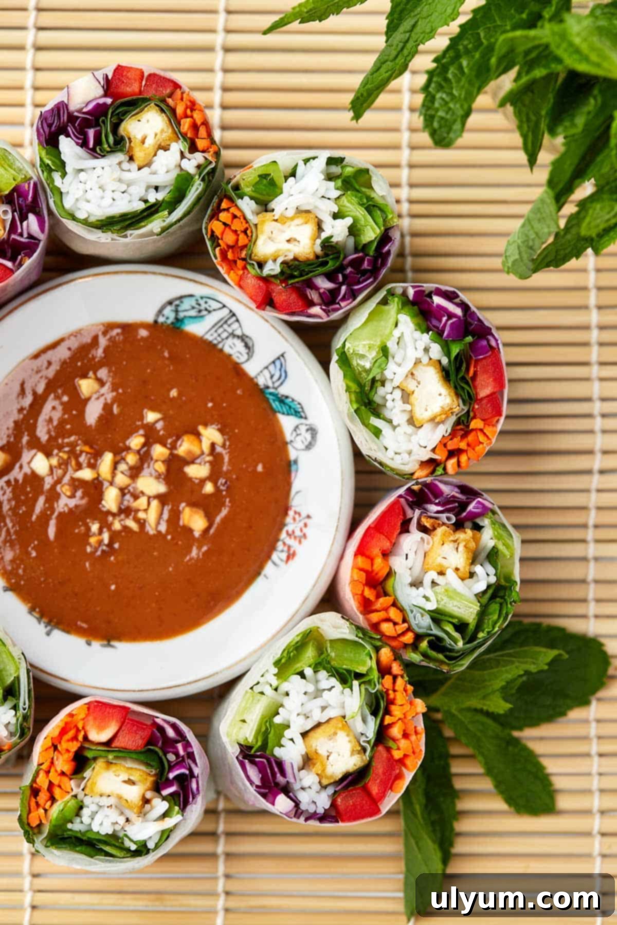 Tofu Spring Rolls with peanut sauce.