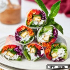 Tofu Spring Rolls.