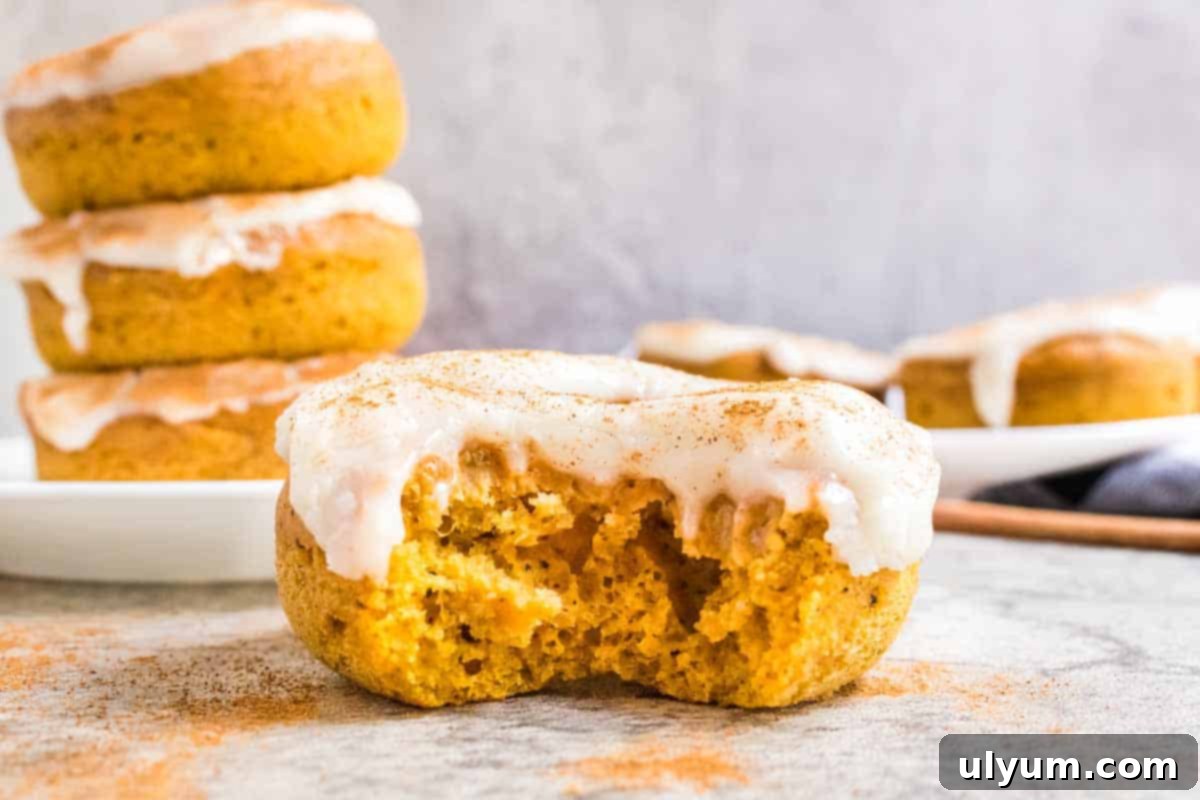 Spiced Baked Pumpkin Donuts with Velvety Cream Cheese Frosting 13 Pumpkin Spice Donuts with Cream Cheese Glaze.
