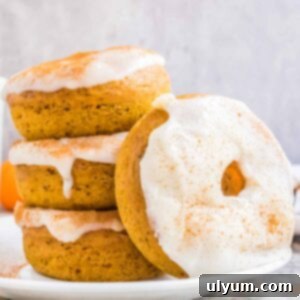 Spiced Baked Pumpkin Donuts with Velvety Cream Cheese Frosting 15 Pumpkin Spice Donuts with Cream Cheese Glaze.