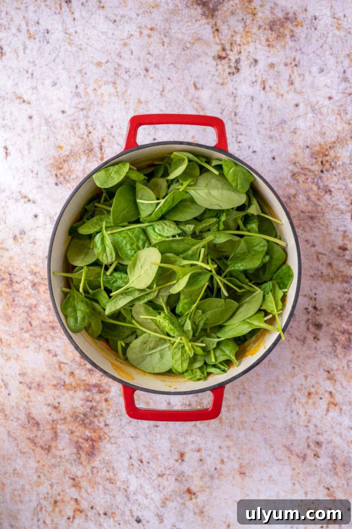 Vibrant Coconut Chickpea & Spinach Curry 10 A generous amount of fresh baby spinach leaves added to the hot chickpea curry in a pot.