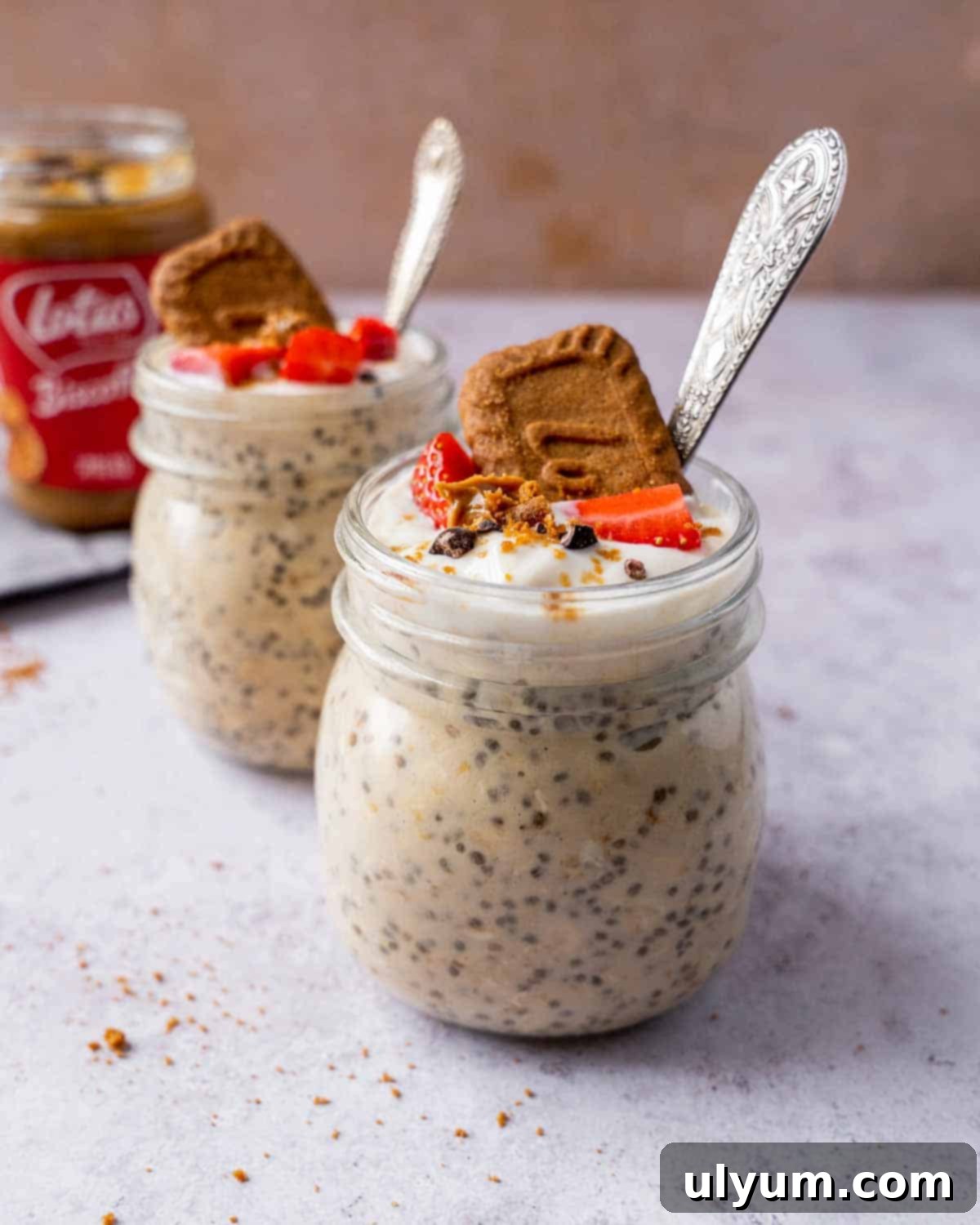 Overnight Cookie Butter Magic 2 Biscoff overnight oats, topped with crumbled Biscoff cookies and a drizzle of cookie butter, ready to be enjoyed for a delicious breakfast.