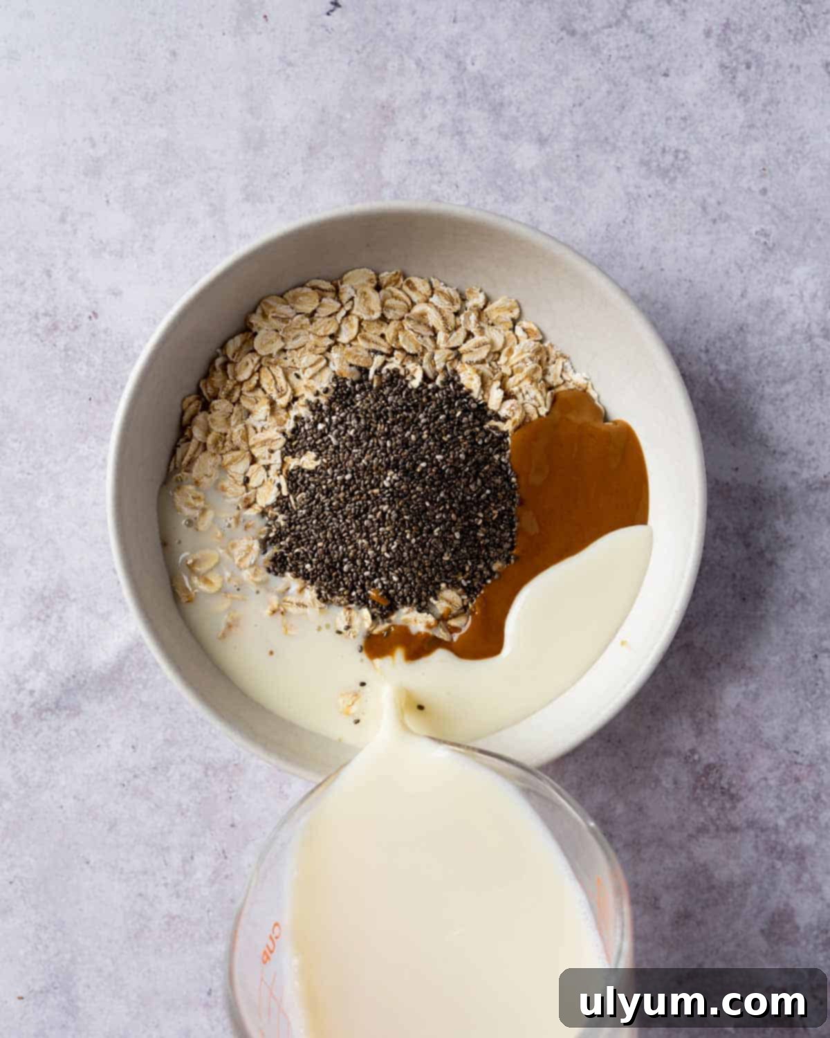 Overnight Cookie Butter Magic 4 All the ingredients for Biscoff overnight oats are placed into a clear bowl before mixing.