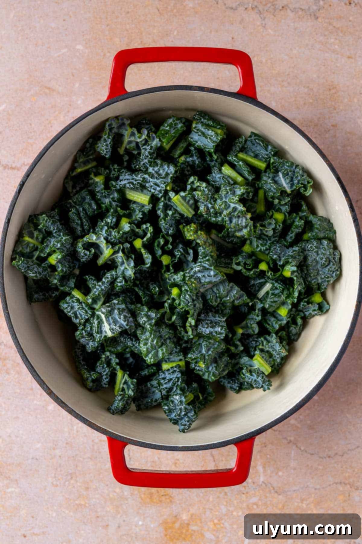 Uncooked kale in a Dutch oven.