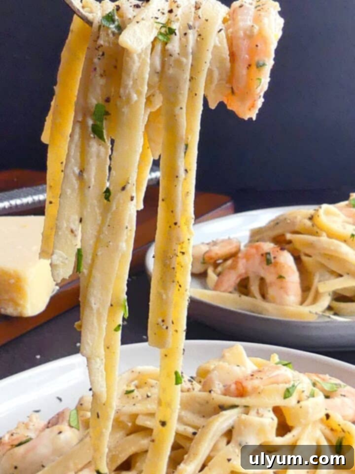 Rich and creamy Shrimp Alfredo Fettuccine pasta