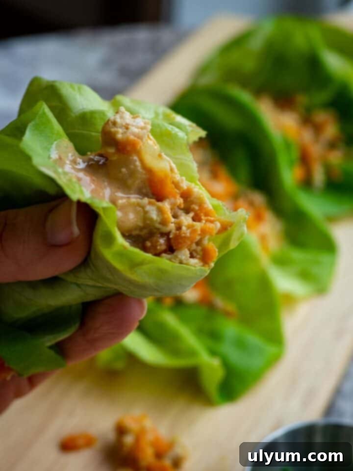 Asian Lettuce Wraps with Peanut Sauce, a healthy and quick supper