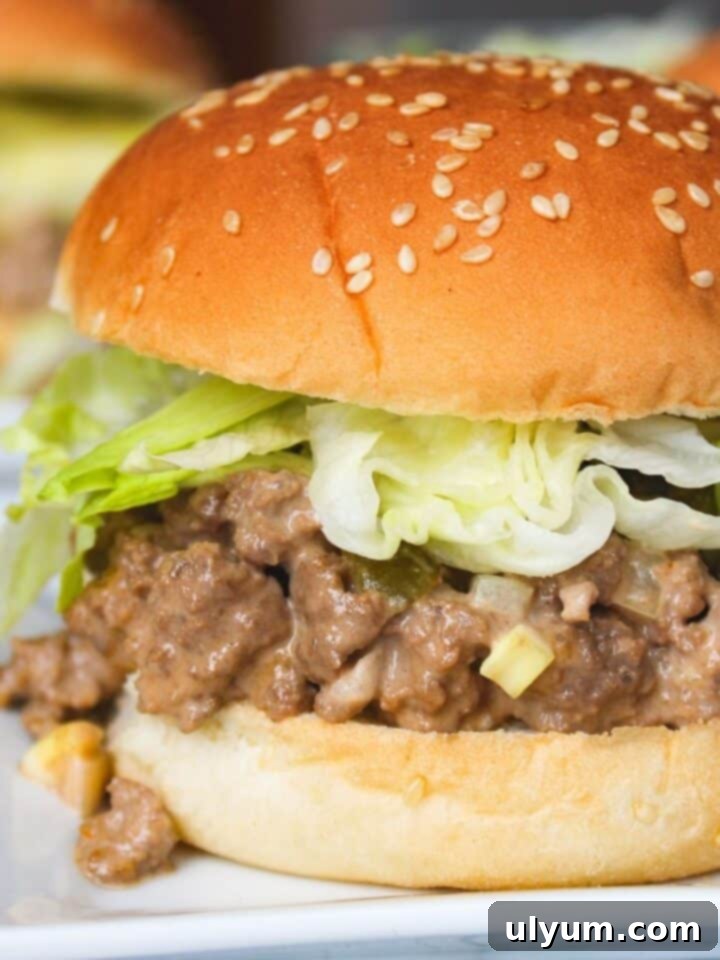 Big Mac Sloppy Joes served on toasted buns with a side of fries