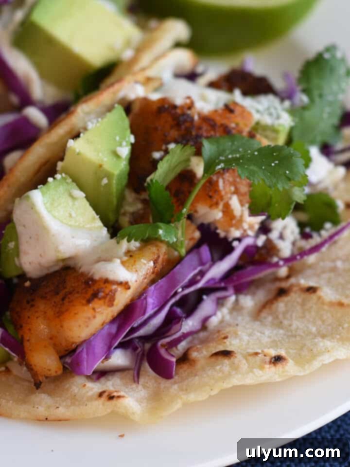 Customizable Fish Tacos, a healthy and tasty alternative