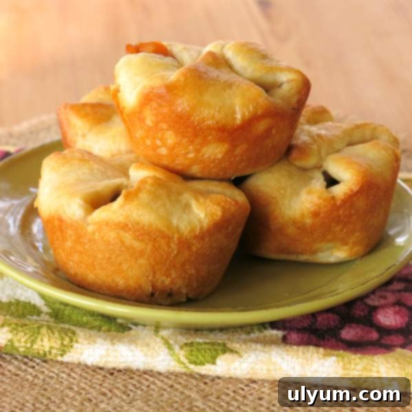 Savory Mini Beef Pot Pies with fluffy crescent rolls