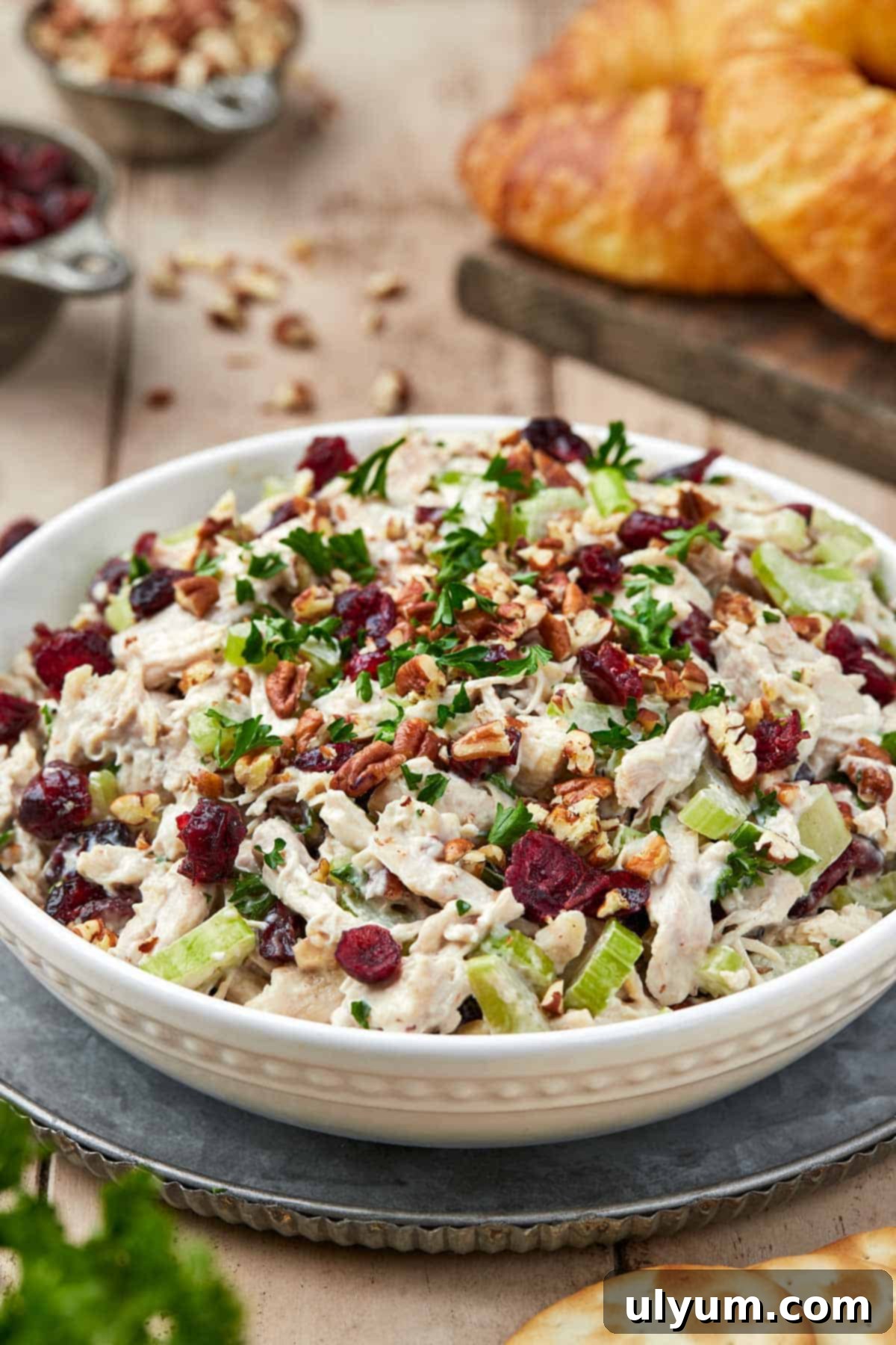Cranberry Pecan Chicken Delight 2 Creamy Cranberry Pecan Chicken Salad ready to serve.
