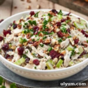 Cranberry Pecan Chicken Delight 11 Cranberry Pecan Chicken Salad, a delicious and easy recipe.