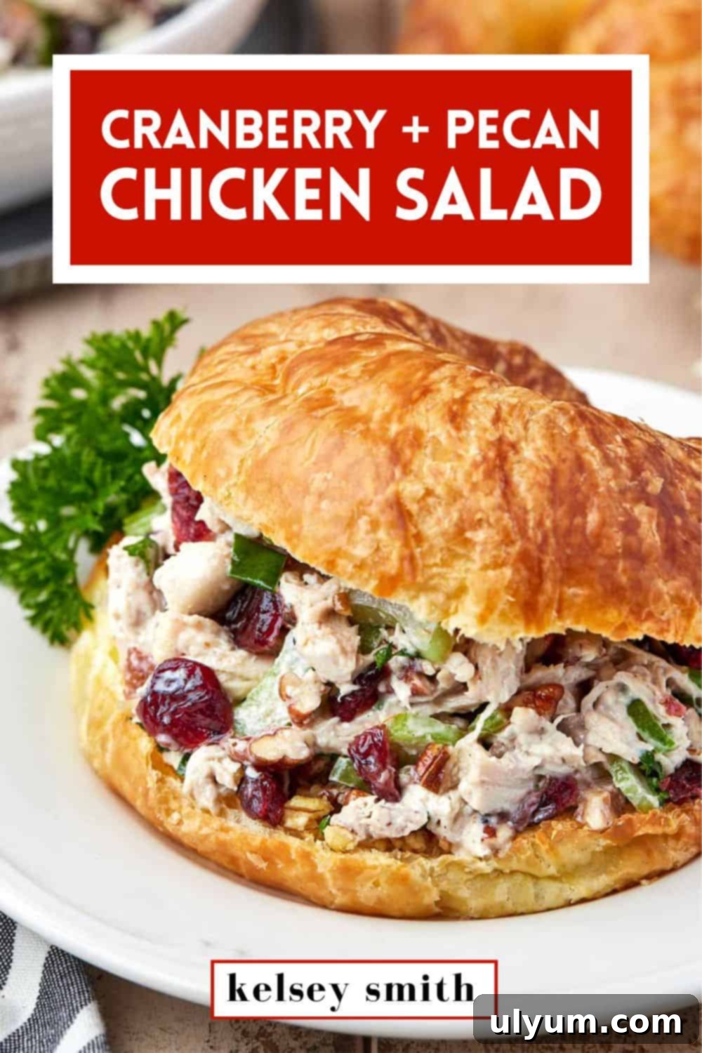 Cranberry Pecan Chicken Delight 12 Easy Cranberry Pecan Chicken Salad for Friday Night Dinner