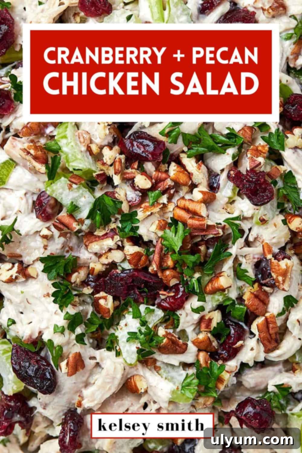 Cranberry Pecan Chicken Delight 14 Quick Cranberry Pecan Chicken Salad Recipe