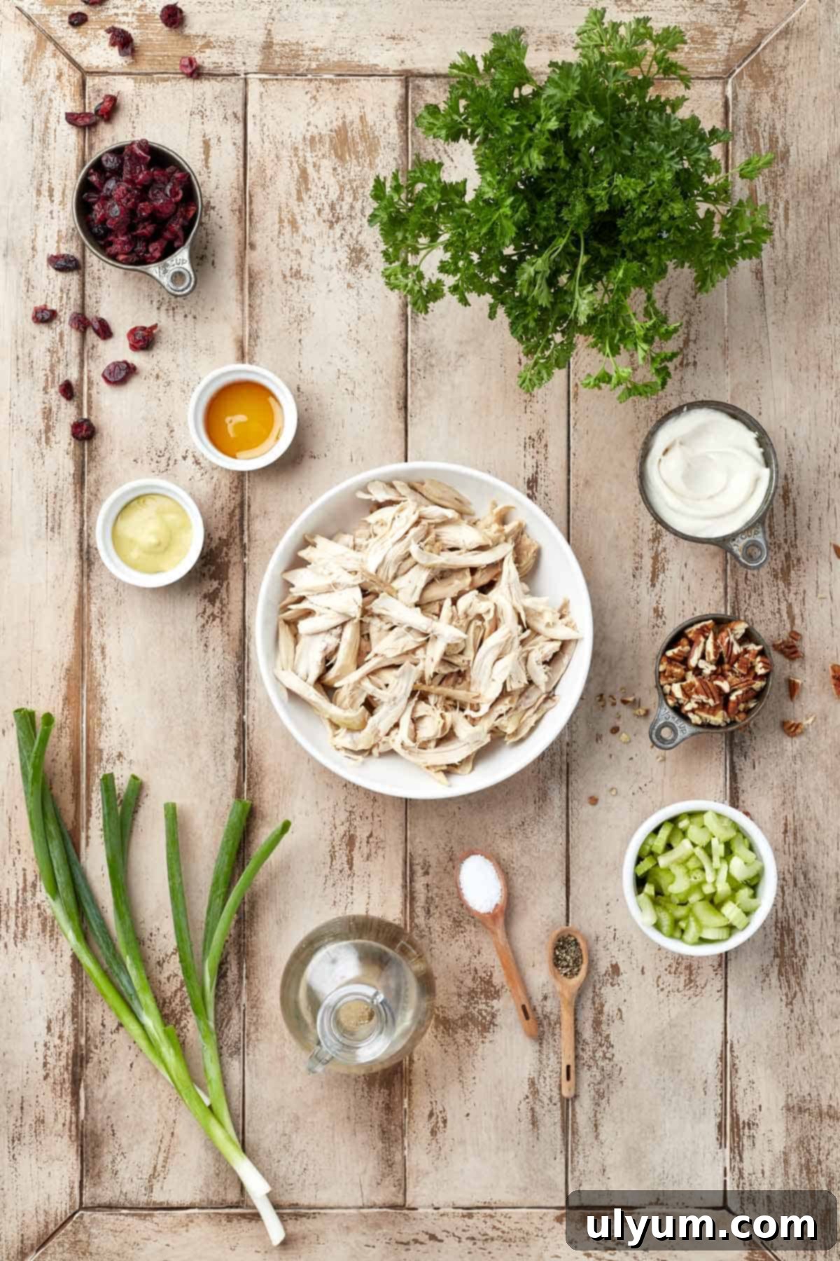 Cranberry Pecan Chicken Delight 3 All ingredients for Cranberry Pecan Chicken Salad laid out.