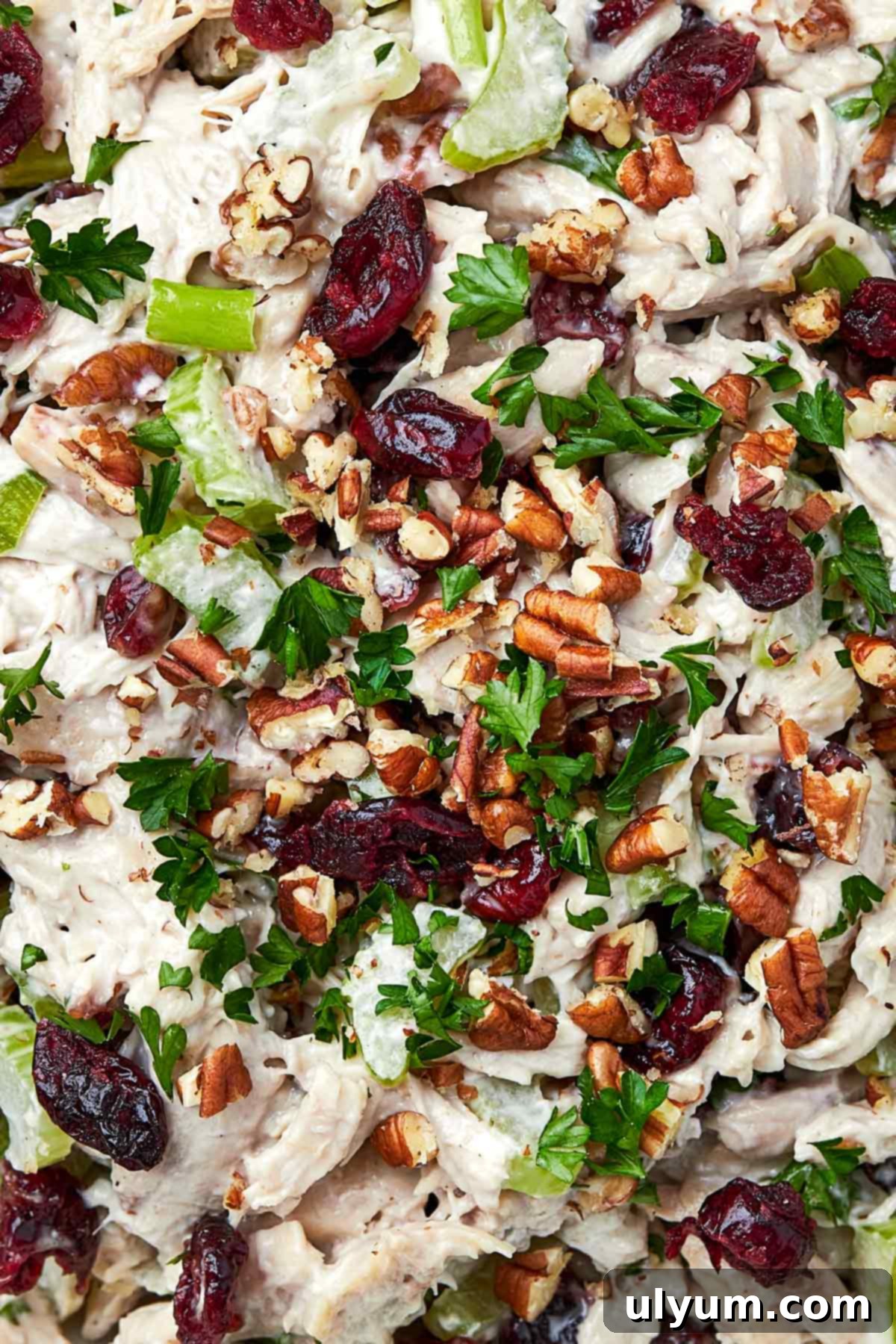 Cranberry Pecan Chicken Delight 7 Cranberry Pecan Chicken Salad ready for garnish.