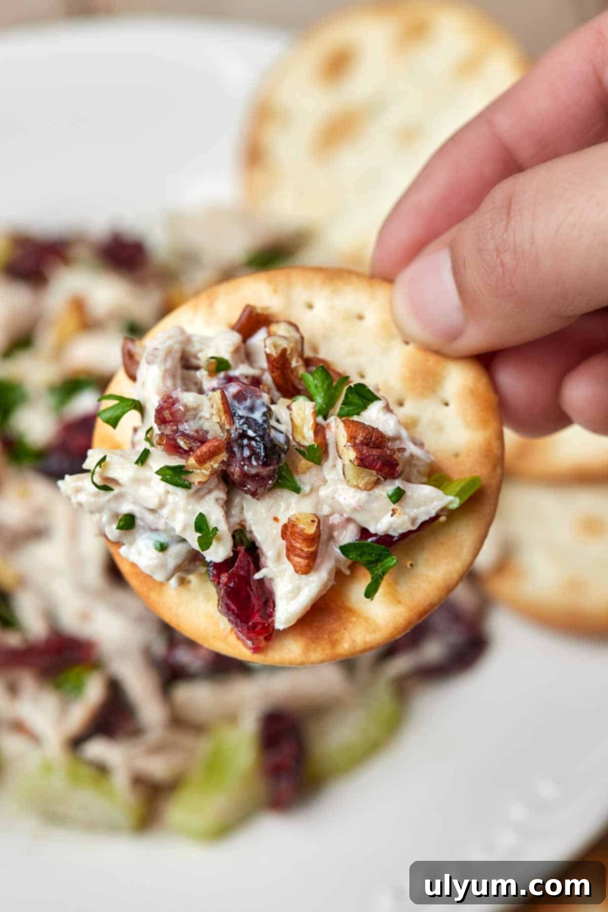 Cranberry Pecan Chicken Delight 8 Cranberry Pecan Chicken Salad served on a cracker.