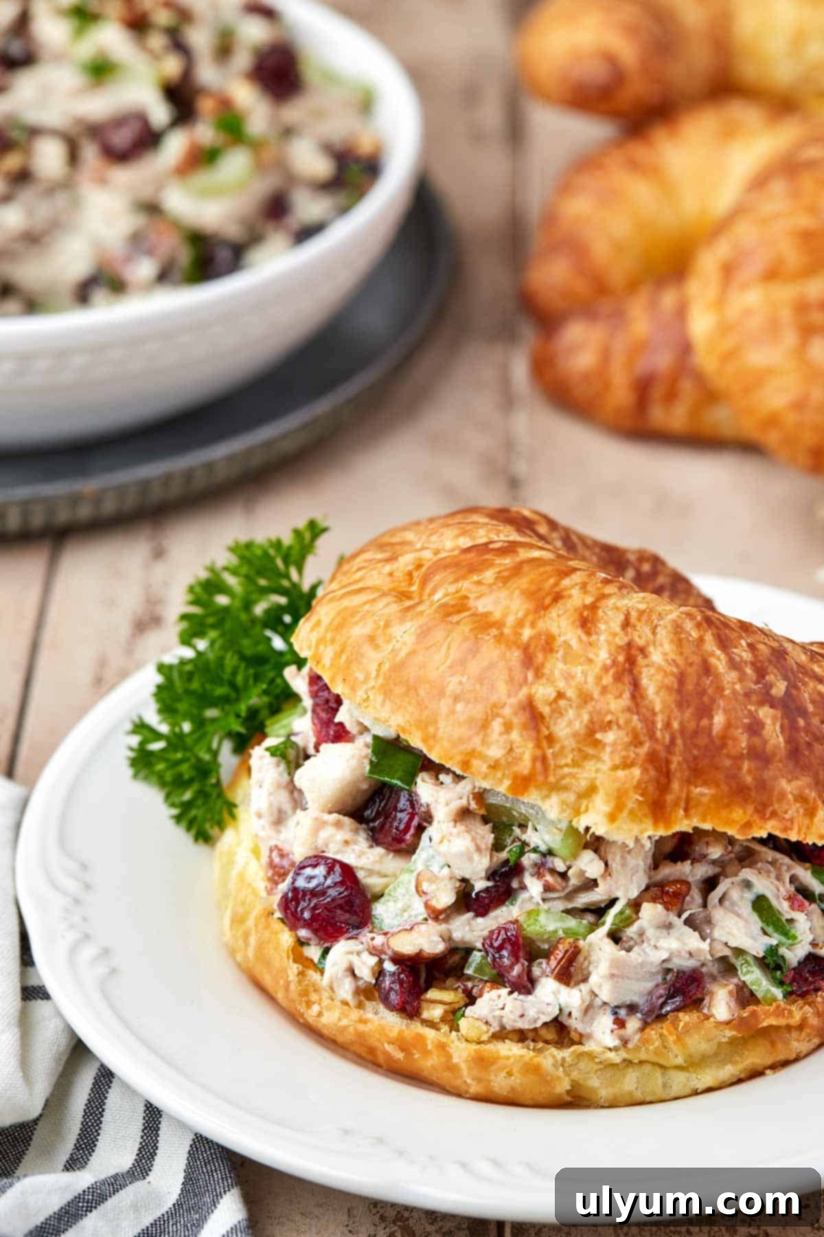 Cranberry Pecan Chicken Delight 9 Cranberry Pecan Chicken Salad Croissant Sandwich on a plate.