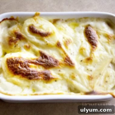 Potatoes Au Gratin for Two
