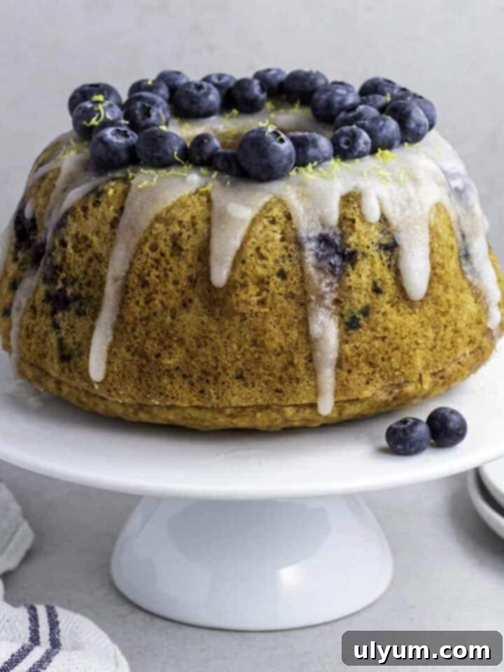 Blueberry pancake bundt cake, moist and fluffy.