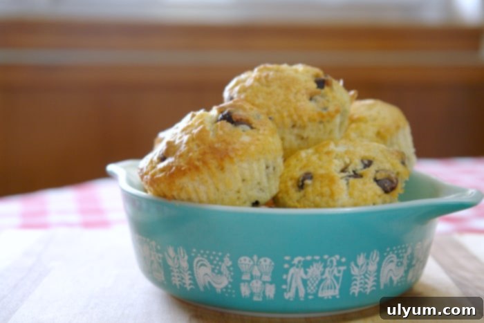 Golden brown chocolate chip muffins with visible chocolate chunks.