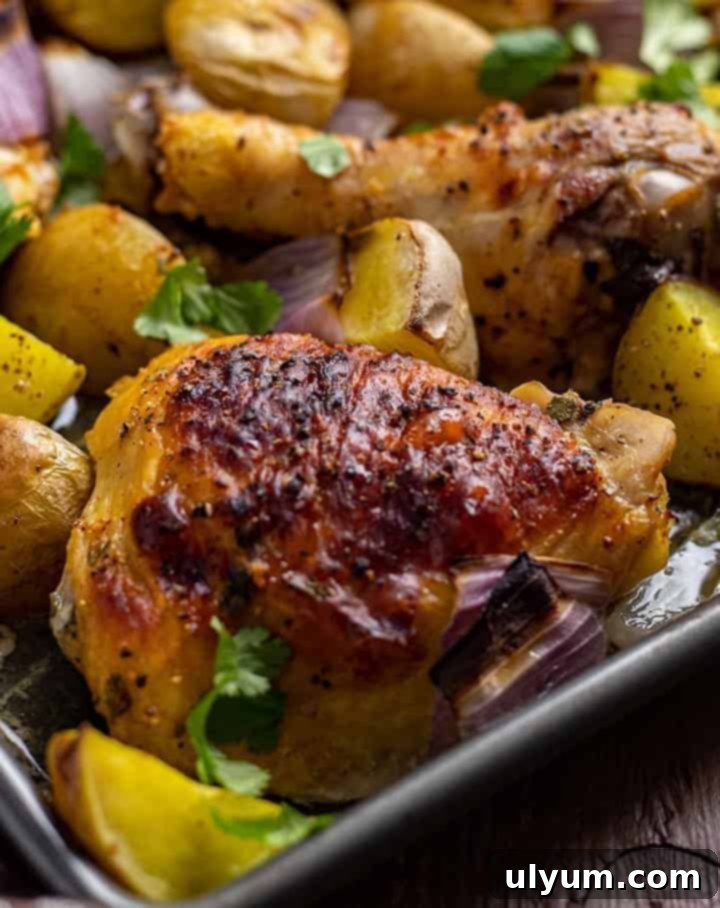 41 Easy Sheet Pan Dinner Ideas 12 Greek Yogurt Marinated Chicken with Potatoes