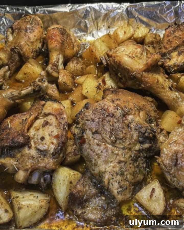 41 Easy Sheet Pan Dinner Ideas 15 Chicken Potato Bake with Lemons and Herbs