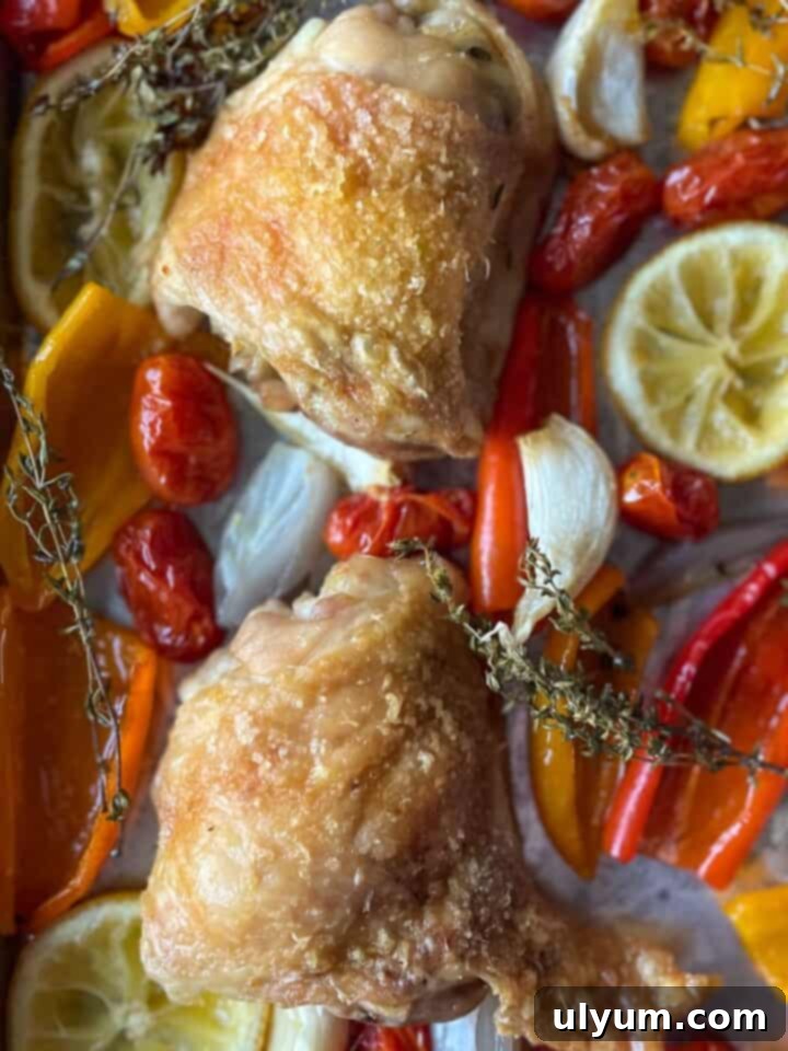 41 Easy Sheet Pan Dinner Ideas 17 Lemon Chicken Thighs with Peppers and Tomatoes