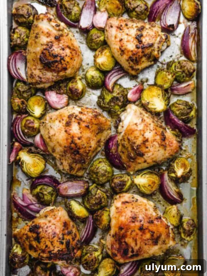 41 Easy Sheet Pan Dinner Ideas 18 Chicken Thighs and Brussels Sprouts