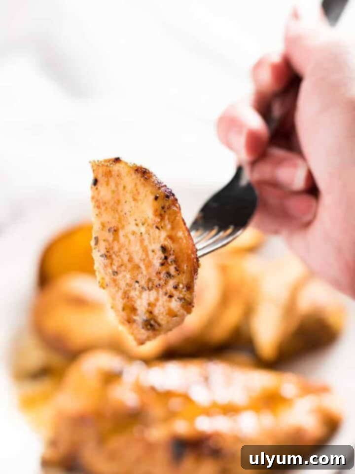 41 Easy Sheet Pan Dinner Ideas 19 Sheet Pan Cajun Garlic Chicken and Fries