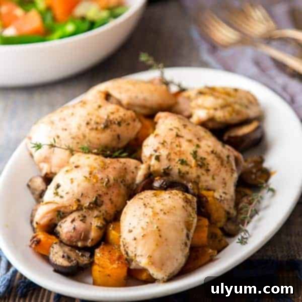 41 Easy Sheet Pan Dinner Ideas 22 One Pan Chicken with Squash and Mushrooms