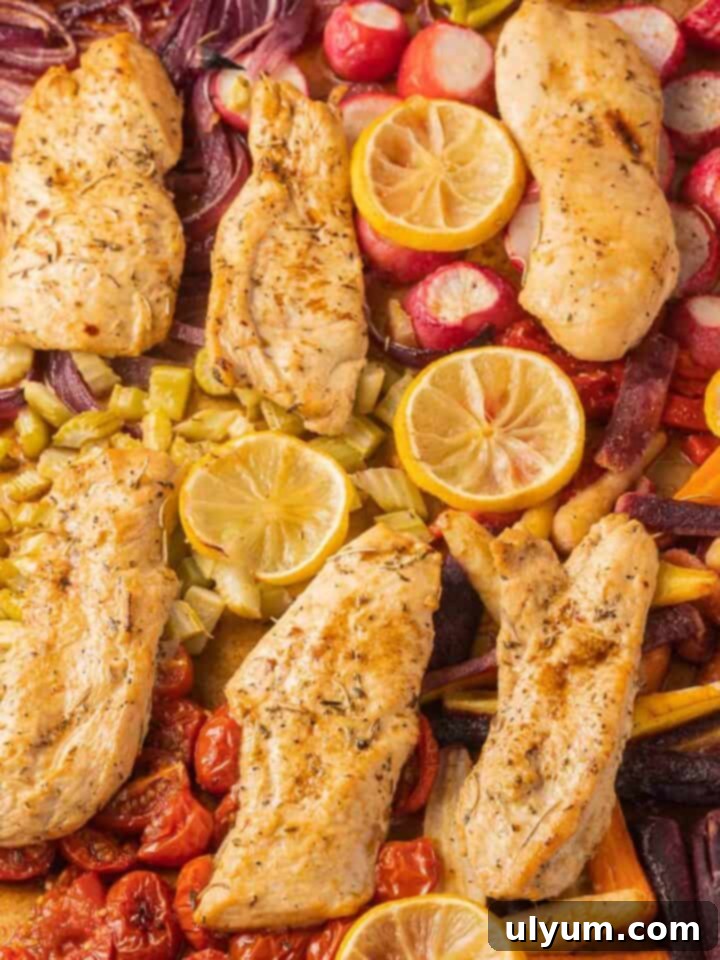 41 Easy Sheet Pan Dinner Ideas 5 Thin Sliced Herb Chicken Breast with Roasted Vegetables
