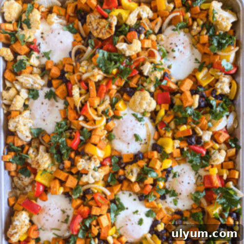 41 Easy Sheet Pan Dinner Ideas 41 Vegetarian Sweet Potato Hash Tex-Mex Style