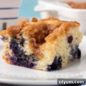 Effortless Blueberry Morning Crumble 11 Bisquick Blueberry Coffee Cake