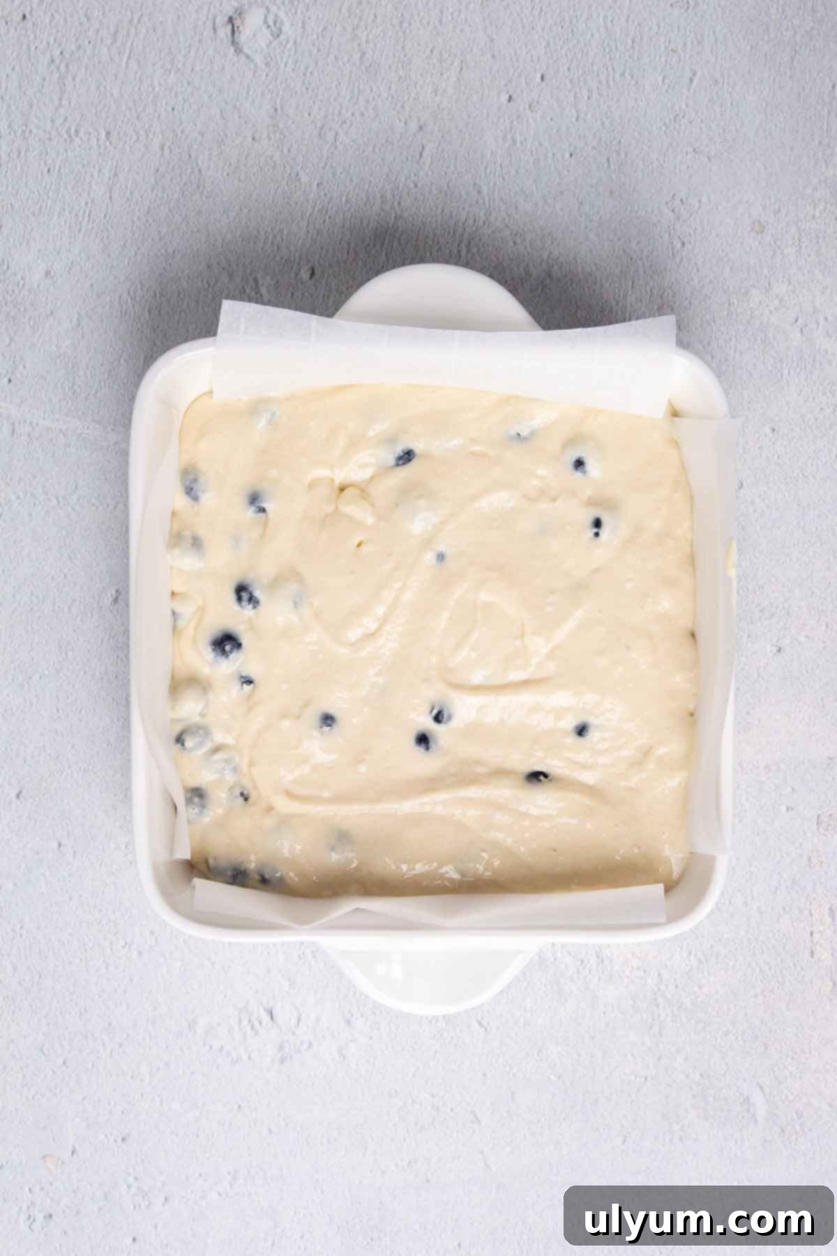 Effortless Blueberry Morning Crumble 6 Bisquick Blueberry Coffee Cake batter in an 8x8 baking dish