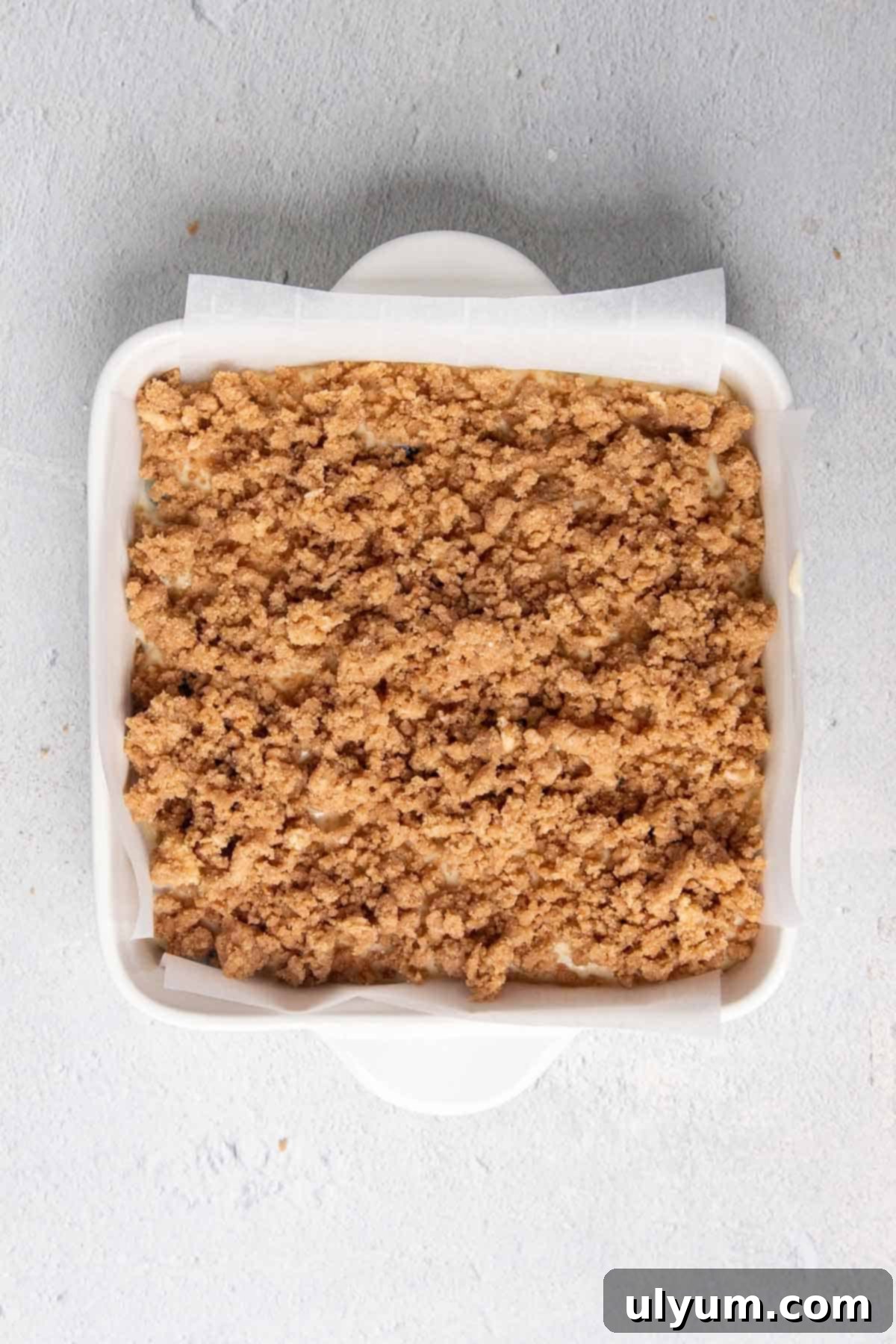 Effortless Blueberry Morning Crumble 8 Bisquick Blueberry Coffee Cake before baking
