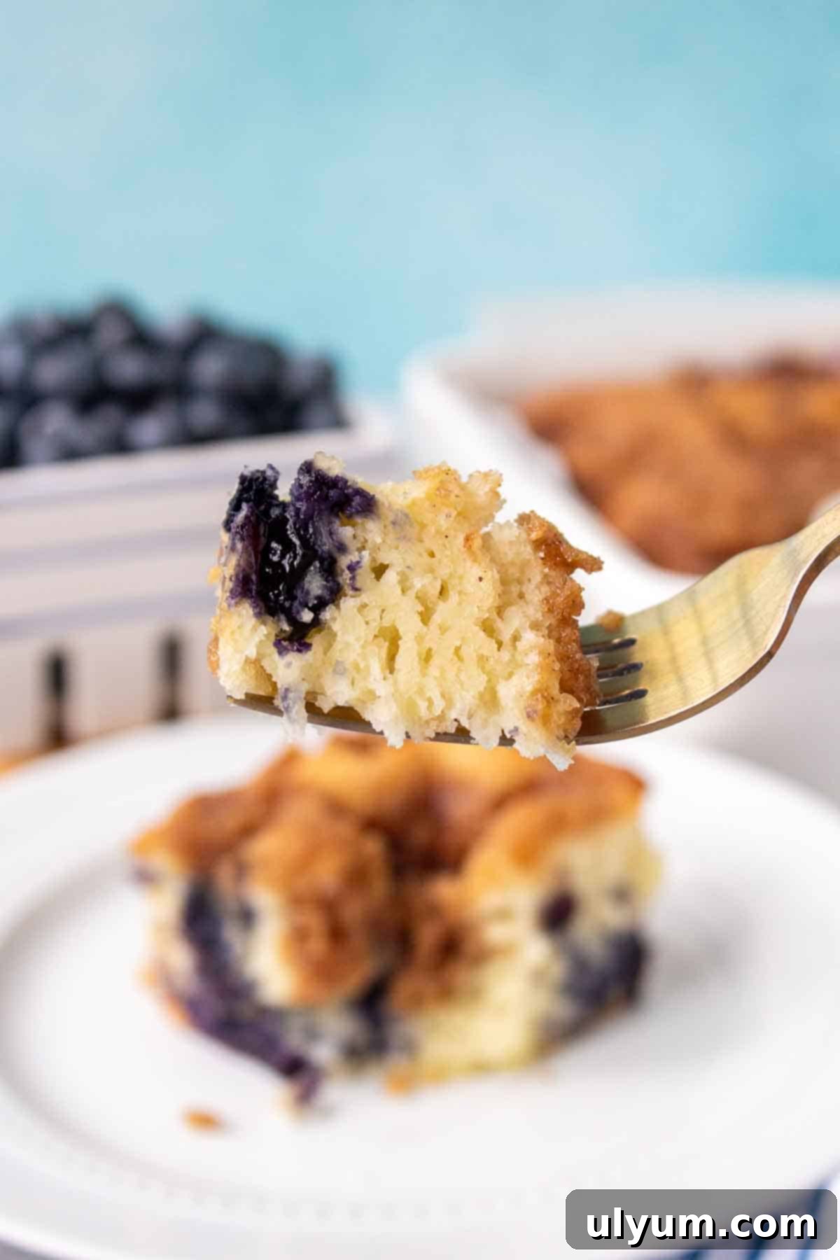 Effortless Blueberry Morning Crumble 10 Bite of Bisquick Blueberry Coffee Cake on a Fork