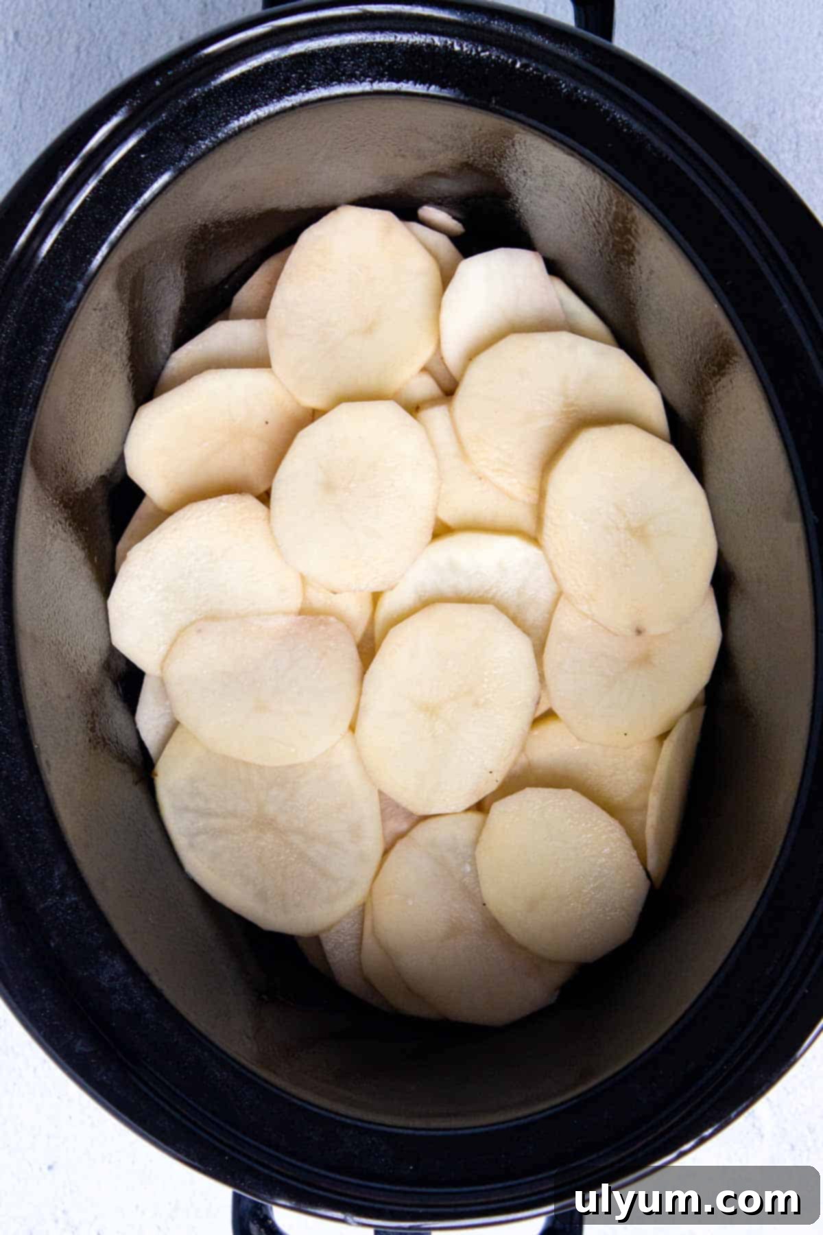 A flat layer of thinly sliced russet potatoes neatly arranged in the bottom of a slow cooker.